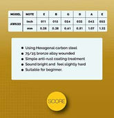Acoustic Guitar String Set AW633 Score – Taal Musicals
